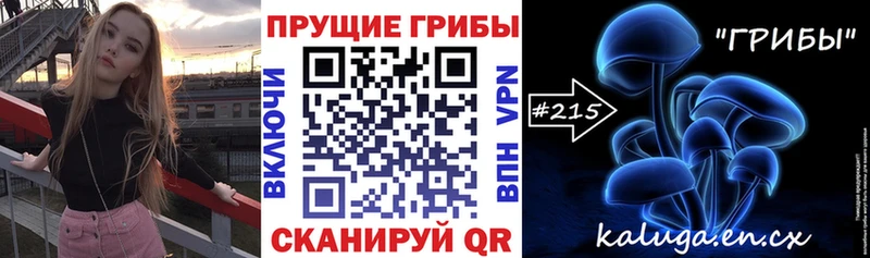 закладка  Сыктывкар  Псилоцибиновые грибы GOLDEN TEACHER 