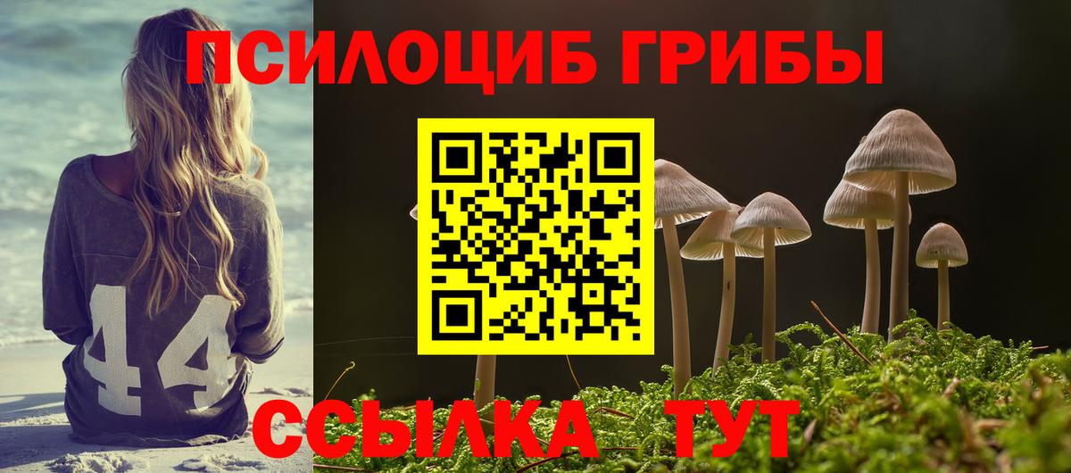 Сыктывкар  Галлюциногенные грибы Magic Shrooms  Вход с VPN 