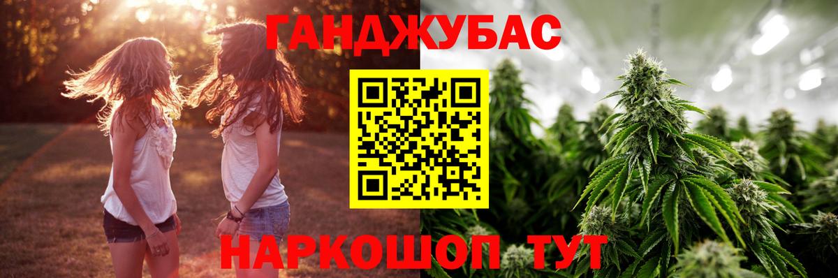 Марихуана Bruce Banner  Вход с VPN  Шишки марихуана тримм  Сыктывкар  Бошки Шишки план  Канабис сатива 
